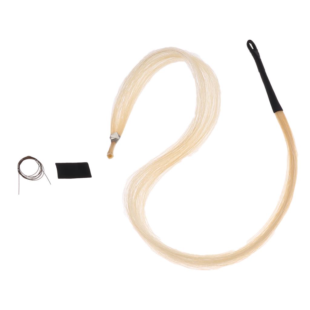 Musical Instrument Cello - Prawdziwy koń mongolski do kucyka z