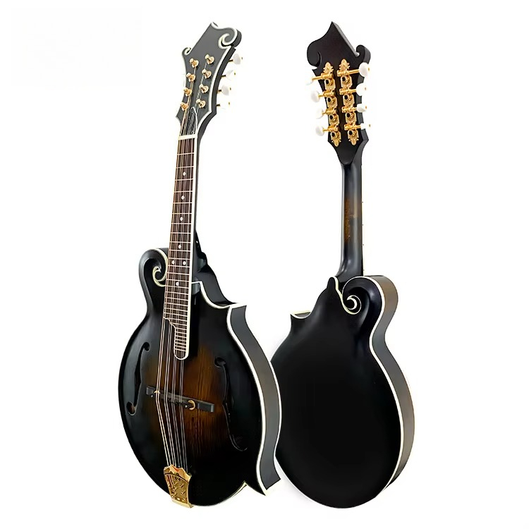 Wysokiej jakości profesjonalna – Mandolin A Style recenzja i cena