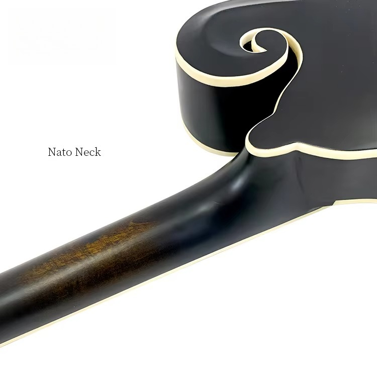 Wysokiej jakości profesjonalna – Mandolin A Style recenzja i cena