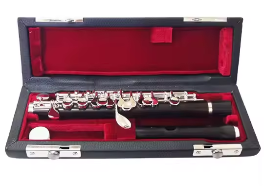 Instrument muzyczny: piccolo z – Musical Instrument Piccolo recenzja i cena
