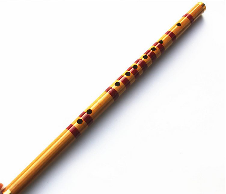 Dzieci uczące się dobrze zapro – Musical Instrument Piccolo recenzja i cena